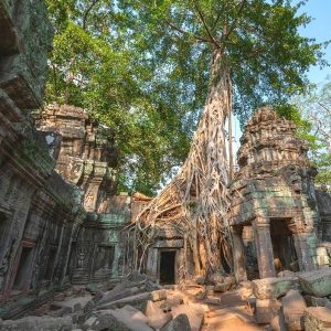 Angkor-Wat-Sunrise-tour-Semi-Private-Sunrise-Guided-Tour - walking and touring at Ta Prohm