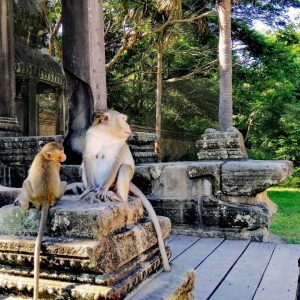 Angkor Wat tour Semi-Private – Temples Guided Tour - entering Angkor Wat