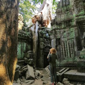 Angkor Wat tour Semi-Private – Temples Guided Tour - what a trees