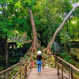 Canopy Explorer's Dream - Wooden Walkways Through Ancient Temple Corridors