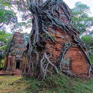 Jungle-Engulfed Temple Ruins at Koh Ker - Nature Reclaimed Temples on Koh Ker and Beng Mealea Guided Tour
