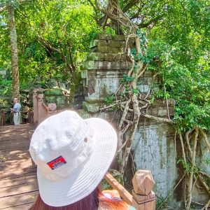 Living History - Where Jungle Vines Write New Stories on Ancient Stone Walls