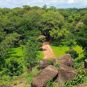 Panoramic View from Koh Ker Temple Top - Jungle Canopy Vista Koh Ker and Beng Mealea Guided Tour