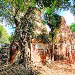 Prasat Pram Temple Tree Root Cathedral - Nature's Temple Takeover Koh Ker and Beng Mealea Tour