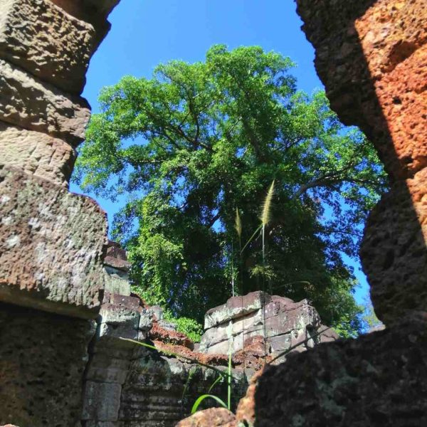 Preah Khan amazing angles for unique pictures