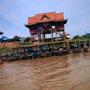 Siem Reap floating village tour - Make your choice