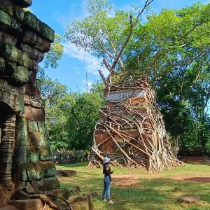 Temple Root Formations - Visitor Scale at Jungle Temple Koh Ker and Beng Mealea Tour