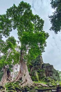 Angkor Wat 2 Day Itinerary with Prasat Preah Palilay Temple