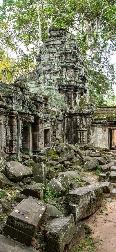 Angkor Wat tour Semi-Private Temples Guided Tour [with Phnom Bakheng sunset] at Ta Prohm