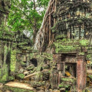 Inside Ta Prohm temple - Private Angkor Wat Sunrise tour