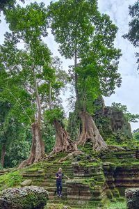 Private Angkor Wat 2-Day Tour with Prasat Preah Palilay Temple