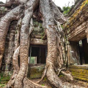 Private Angkor Wat 2-Day Tour – Private Sunset and Sunrise Guided Temples Tour - Day 1 at Ta Prohm temple
