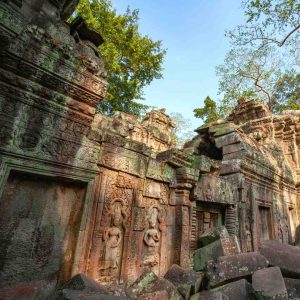 Private Sunrise Guided Tour [Go to Angkor Wat and Ta Prohm early and avoid the crowds]