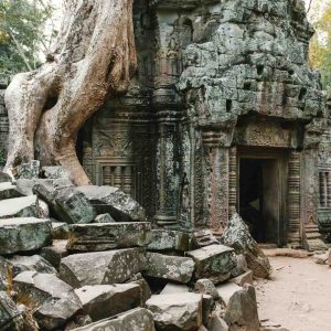 Ta Prohm temple - Angkor Wat Sunrise Private tour - Guided tours