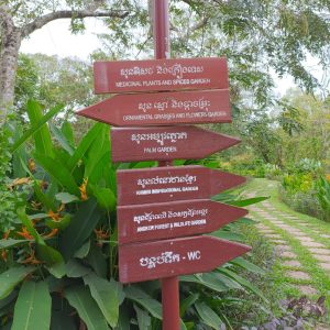 Explore Siem Reap Itinerary - At the Botanical gardens on your private Siem Reap city tour
