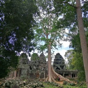 Banteay Kdei, Angkor Wat, Baksei Chamkrong Temple, and Phnom Bakheng temples
