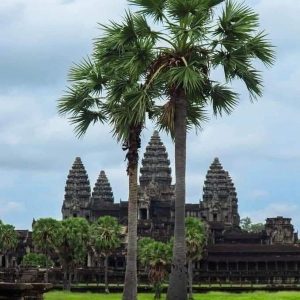 Taking a private tour is the best way to ensure you don't miss the best highlights of Angkor Wat