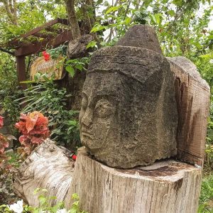 From Market to Garden Tour with Siem Reap Cooking Class and Angkor Botanical Garden
