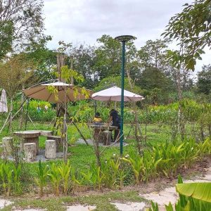 Relax at the Angkor Botanical Garden