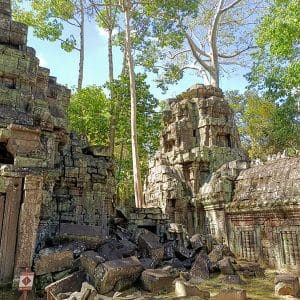Angkor-Wat-and-Angkor-Thom-tour-at-Ta-Nei