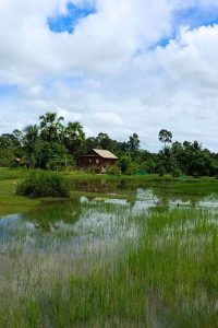 authentic Cambodian rural life