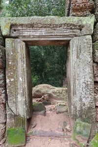Early Morning Ta Prohm Tour
