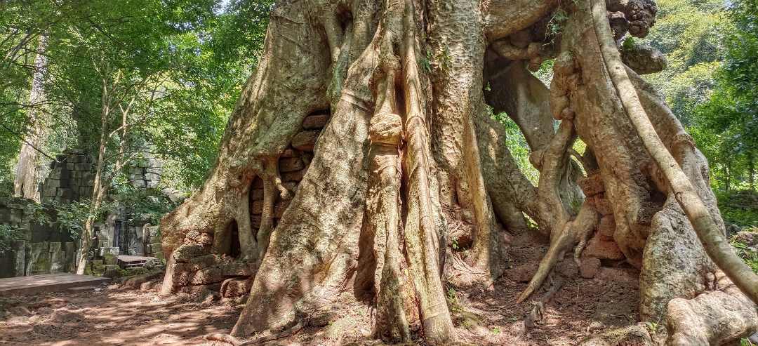 Phimeanakas Temple Opening Time - Recommended activities and experiences