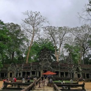 Private Early Bird Ta Prohm Tour After Sunrise view