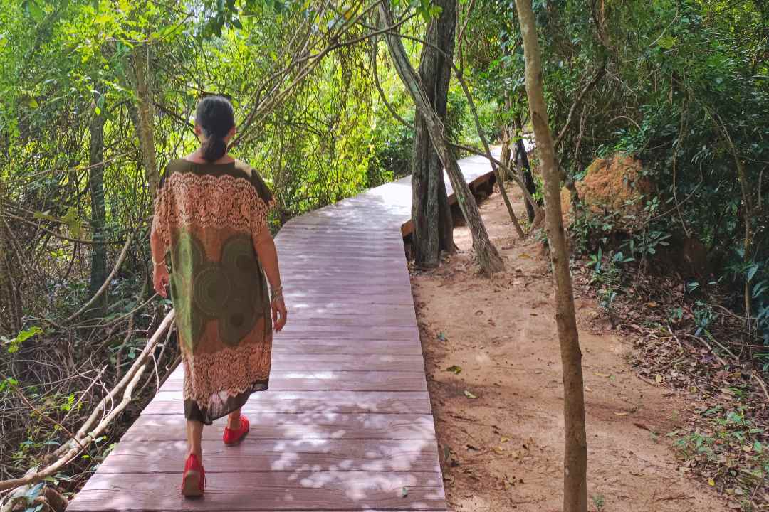 Understanding Angkor Through Neak Pean