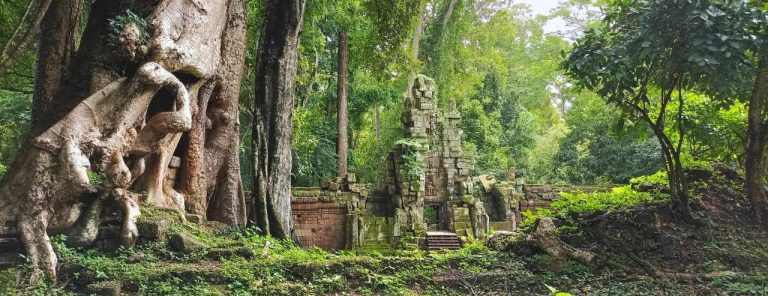 Your Essential Trip Planning And Cambodia Entry Regulations Cheat Sheet   Cambodia Entry Regulations 768x296 