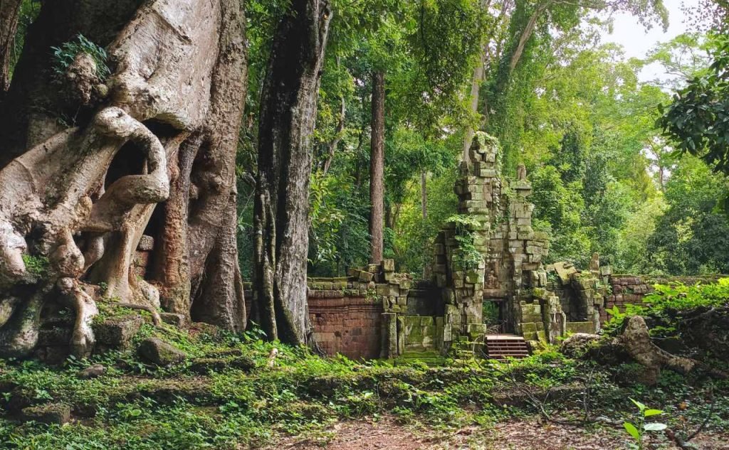 New - Your top choice for Best Angkor early bird tour itinerary