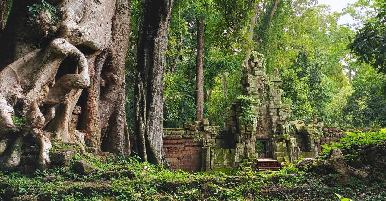 New - Your top choice for Best Angkor early bird tour itinerary