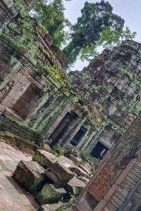 Siem Reap 5-day Guided Tour discovery at the Temples