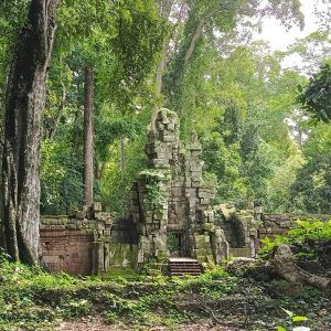 Your Half-Day Angkor Wat Sunrise Equinox Tour Highlights