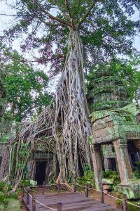 The Ultimate Siem Reap Adventure Tour at first Temple