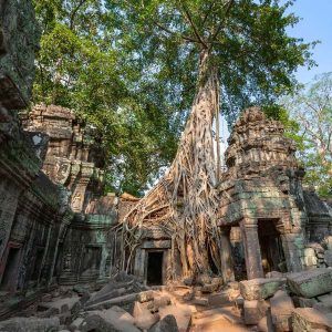 2 Day Complete Angkor Experience Highlights