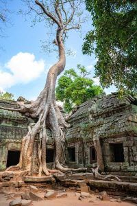 2 Day Complete Angkor Experience at Angkor Wat and Ta Prohm