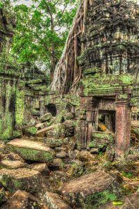 2 Day Complete Angkor Experience at Angkor Wat and Ta Prohm details