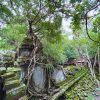 Beng Mealea Siem Reap - Angkor Wat with Banteay Srei and Beng Mealea Temple from Siem Reap