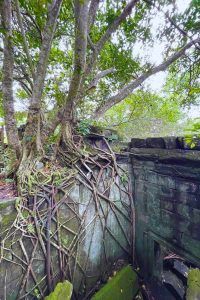 Beng Mealea Siem Reap Tour - A Full-Day Exclusive Journey of Discovery