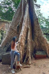 Exclusive Angkor Wat Tour Experience - exploring Ta Prohm