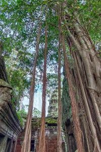 Private Guided Full-Day Temple Tour with Ta Prohm