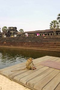 The all-time classic one-day itinerary to the most significant temples of the Angkor archaeological site