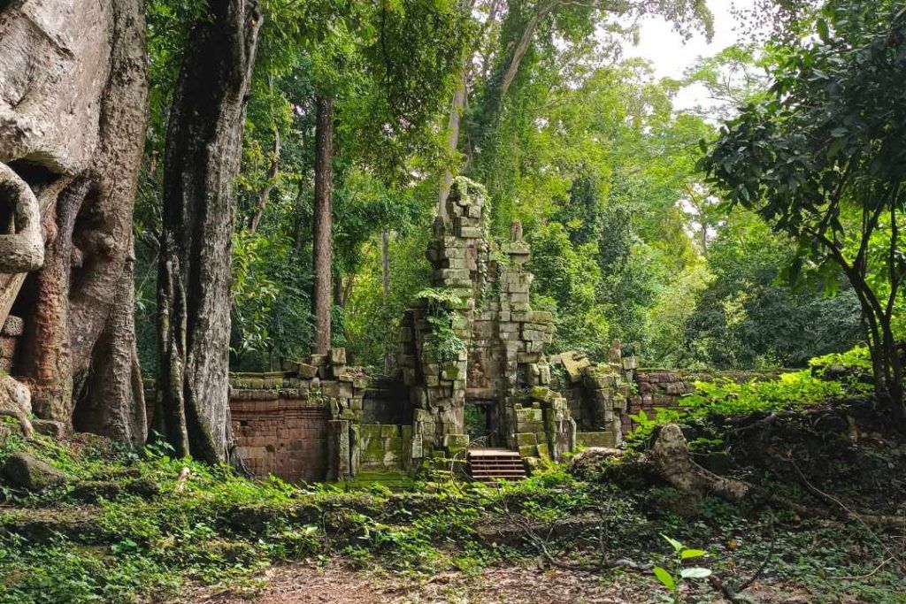 5 Day Tour of a Lifetime in Siem Reap and Beyond