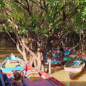 Kampong Phluk Tour - A Morning Tour Experience at Kampong Phluk Floating Village [All Included with Mangroves Sightseeing by Canoe]