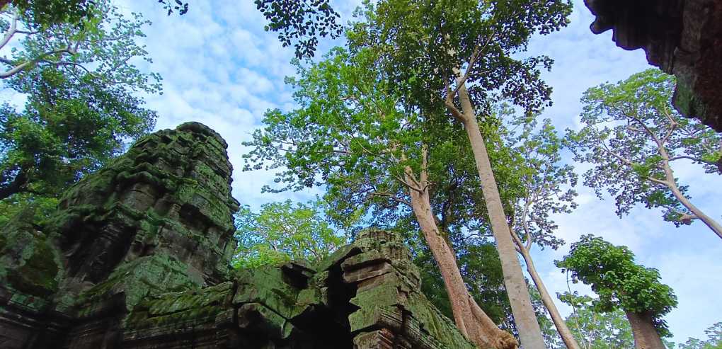 Choosing Between One Day or Multi-Day Ta Prohm and Angkor Wat Combo Tours