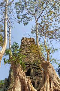 7 days in Siem Reap and Battambang Tour at Phimeanakas splendor