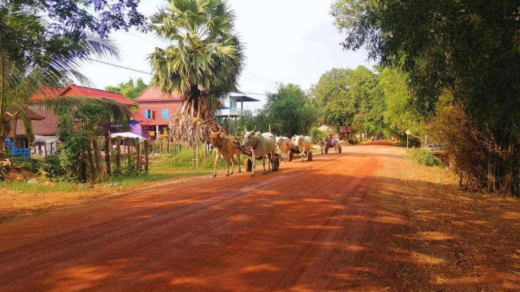 Discovering the Surrounding Temples at Bakong