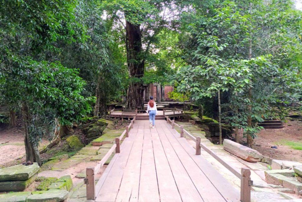 Exploring the Mystical 'River of a Thousand Lingas', with Banteay Srei, Ta Prohm and Pre Rup Temples