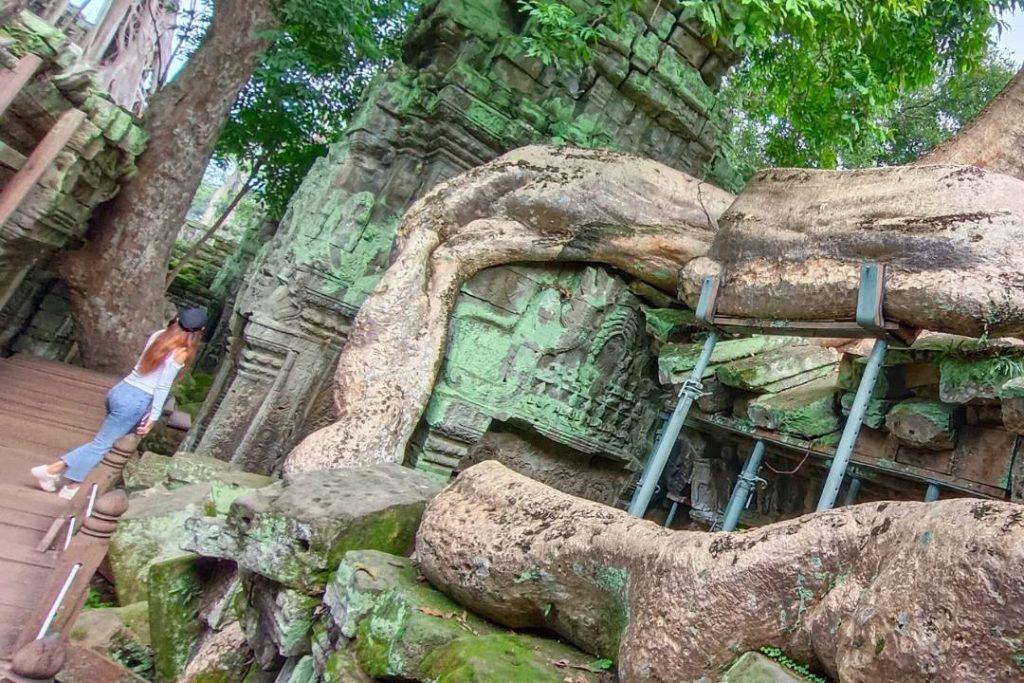 Ta Prohm - Where Nature Meets Ancient Architecture